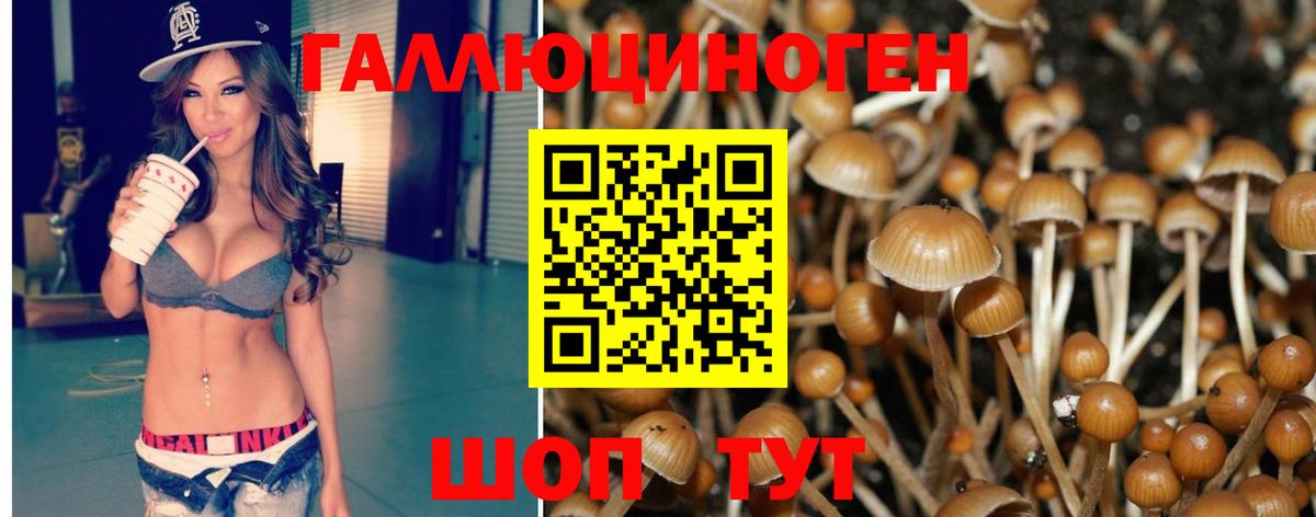 Галлюциногенные грибы ЛСД Королёв