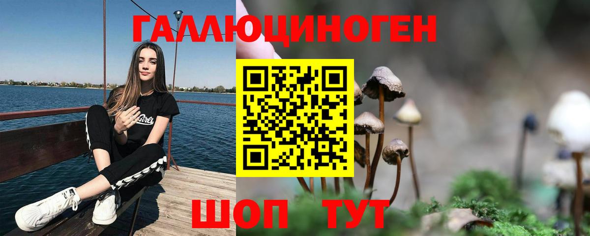 Королёв  Галлюциногенные грибы MAGIC MUSHROOMS  Вход с VPN 